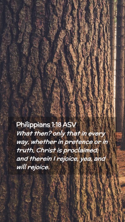 Picture 02 - Philippians 1:18 ASV Mobile Phone Wallpaper - What then? only that in every way, whether in - Mobile Bible Verse Wallpaper