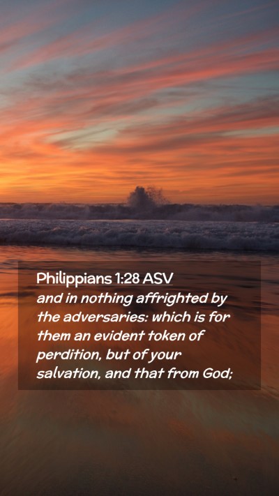 Picture 02 - Philippians 1:28 ASV Mobile Phone Wallpaper - and in nothing affrighted by the adversaries: - Mobile Bible Verse Wallpaper