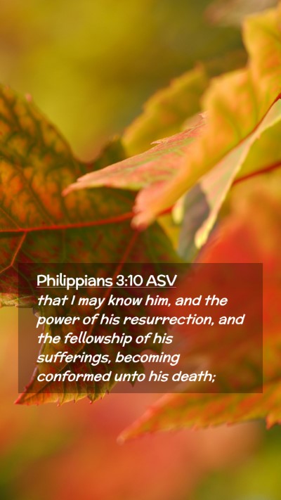Picture 02 - Philippians 3:10 ASV Mobile Phone Wallpaper - that I may know him, and the power of his - Mobile Bible Verse Wallpaper