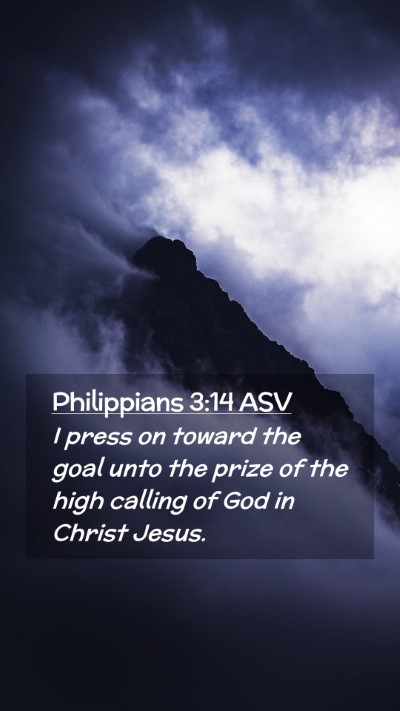 Picture 02 - Philippians 3:14 ASV Mobile Phone Wallpaper - I press on toward the goal unto the prize of the - Mobile Bible Verse Wallpaper