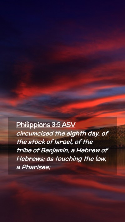 Picture 02 - Philippians 3:5 ASV Mobile Phone Wallpaper - circumcised the eighth day, of the stock of - Mobile Bible Verse Wallpaper
