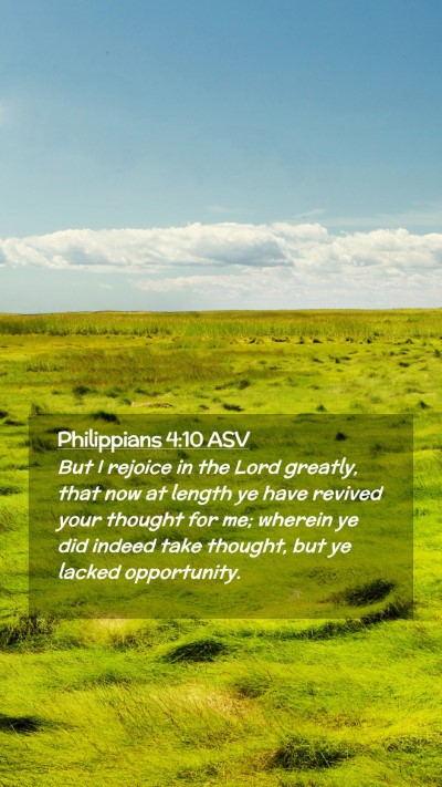 Picture 02 - Philippians 4:10 ASV Mobile Phone Wallpaper - But I rejoice in the Lord greatly, that now at - Mobile Bible Verse Wallpaper