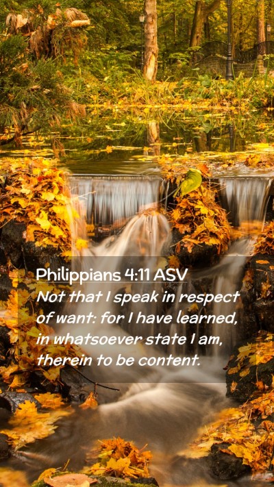 Picture 02 - Philippians 4:11 ASV Mobile Phone Wallpaper - Not that I speak in respect of want: for I have - Mobile Bible Verse Wallpaper