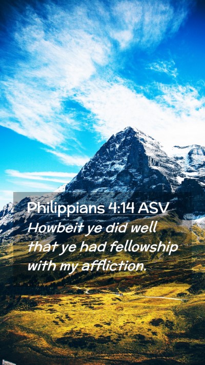 Picture 02 - Philippians 4:14 ASV Mobile Phone Wallpaper - Howbeit ye did well that ye had fellowship with - Mobile Bible Verse Wallpaper