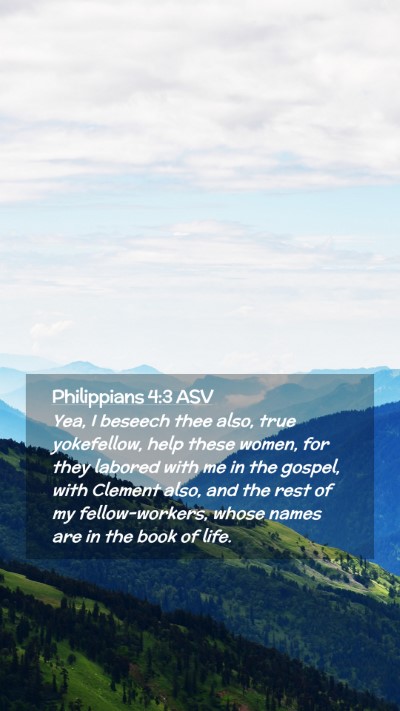 Picture 02 - Philippians 4:3 ASV Mobile Phone Wallpaper - Yea, I beseech thee also, true yokefellow, help - Mobile Bible Verse Wallpaper