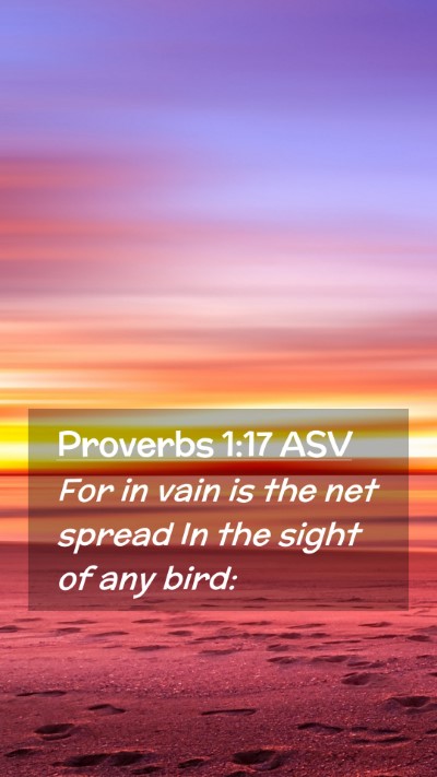 Picture 02 - Proverbs 1:17 ASV Mobile Phone Wallpaper - For in vain is the net spread In the sight of any - Mobile Bible Verse Wallpaper