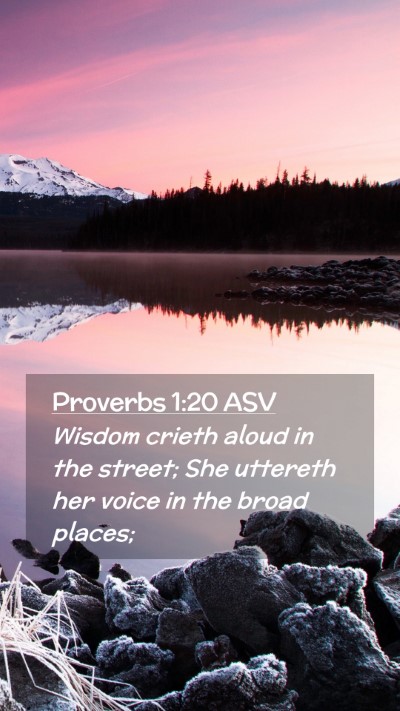 Picture 02 - Proverbs 1:20 ASV Mobile Phone Wallpaper - Wisdom crieth aloud in the street; She uttereth - Mobile Bible Verse Wallpaper