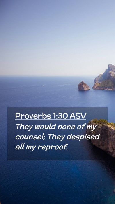 Picture 02 - Proverbs 1:30 ASV Mobile Phone Wallpaper - They would none of my counsel; They despised all - Mobile Bible Verse Wallpaper