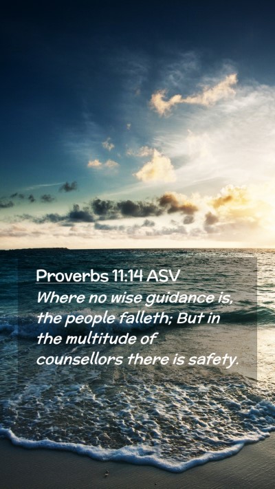 Picture 02 - Proverbs 11:14 ASV Mobile Phone Wallpaper - Where no wise guidance is, the people falleth; - Mobile Bible Verse Wallpaper