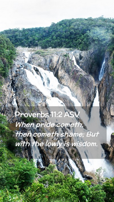 Picture 02 - Proverbs 11:2 ASV Mobile Phone Wallpaper - When pride cometh, then cometh shame; But with - Mobile Bible Verse Wallpaper