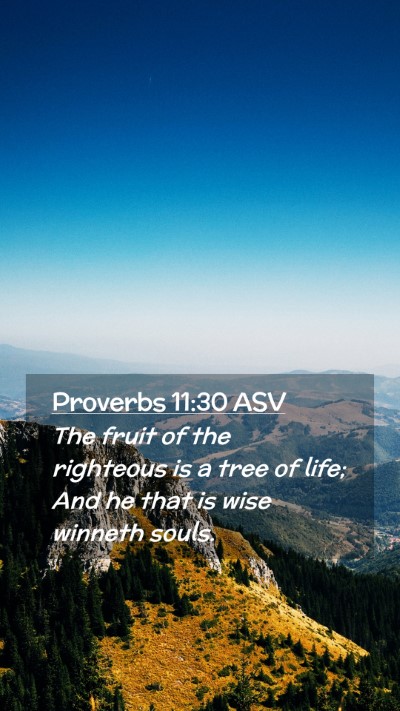 Picture 02 - Proverbs 11:30 ASV Mobile Phone Wallpaper - The fruit of the righteous is a tree of life; And - Mobile Bible Verse Wallpaper