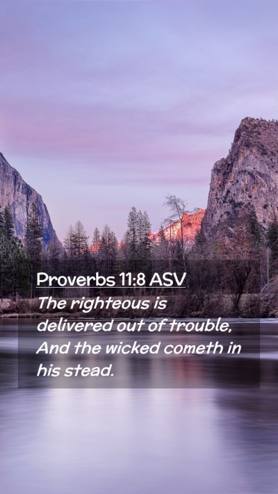 Picture 02 - Proverbs 11:8 ASV Mobile Phone Wallpaper - The righteous is delivered out of trouble, And - Mobile Bible Verse Wallpaper