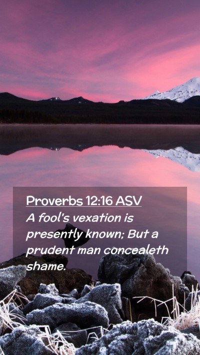 Picture 02 - Proverbs 12:16 ASV Mobile Phone Wallpaper - A fool's vexation is presently known; But a - Mobile Bible Verse Wallpaper