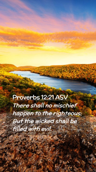 Picture 02 - Proverbs 12:21 ASV Mobile Phone Wallpaper - There shall no mischief happen to the righteous; - Mobile Bible Verse Wallpaper