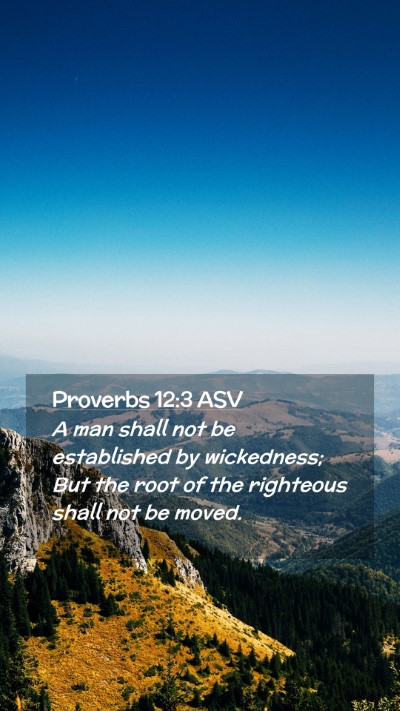 Picture 02 - Proverbs 12:3 ASV Mobile Phone Wallpaper - A man shall not be established by wickedness; But - Mobile Bible Verse Wallpaper