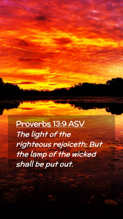 Picture 02 - Proverbs 13:9 ASV Mobile Phone Wallpaper - The light of the righteous rejoiceth; But the - Mobile Bible Verse Wallpaper