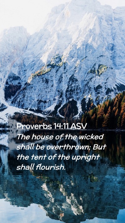 Picture 02 - Proverbs 14:11 ASV Mobile Phone Wallpaper - The house of the wicked shall be overthrown; But - Mobile Bible Verse Wallpaper