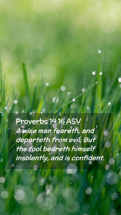 Picture 02 - Proverbs 14:16 ASV Mobile Phone Wallpaper - A wise man feareth, and departeth from evil; But - Mobile Bible Verse Wallpaper