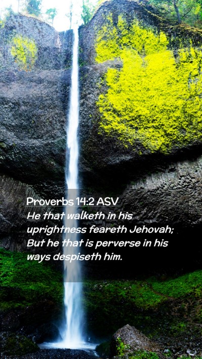 Picture 02 - Proverbs 14:2 ASV Mobile Phone Wallpaper - He that walketh in his uprightness feareth - Mobile Bible Verse Wallpaper