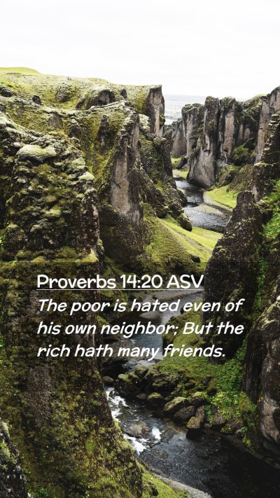 Picture 02 - Proverbs 14:20 ASV Mobile Phone Wallpaper - The poor is hated even of his own neighbor; But - Mobile Bible Verse Wallpaper