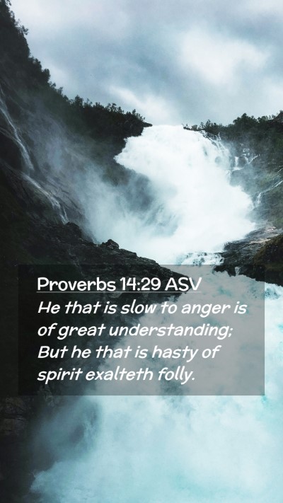 Picture 02 - Proverbs 14:29 ASV Mobile Phone Wallpaper - He that is slow to anger is of great - Mobile Bible Verse Wallpaper