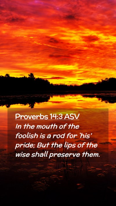 Picture 02 - Proverbs 14:3 ASV Mobile Phone Wallpaper - In the mouth of the foolish is a rod for `his' - Mobile Bible Verse Wallpaper