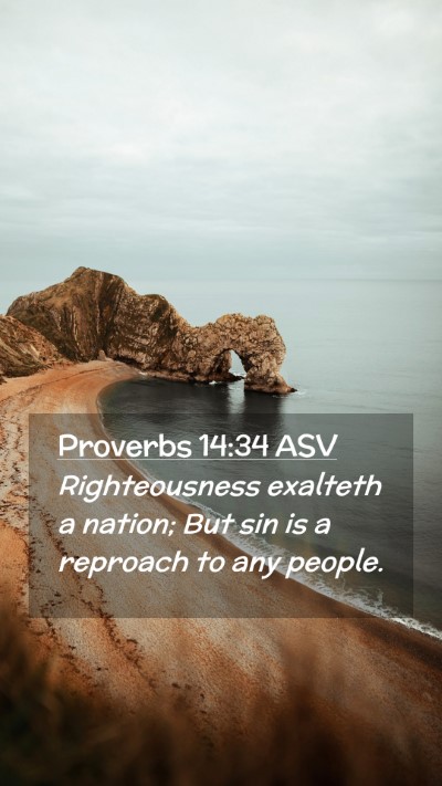 Picture 02 - Proverbs 14:34 ASV Mobile Phone Wallpaper - Righteousness exalteth a nation; But sin is a - Mobile Bible Verse Wallpaper
