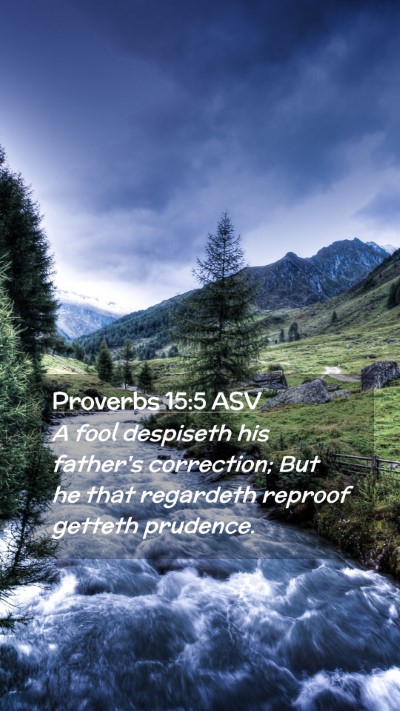 Picture 02 - Proverbs 15:5 ASV Mobile Phone Wallpaper - A fool despiseth his father's correction; But he - Mobile Bible Verse Wallpaper