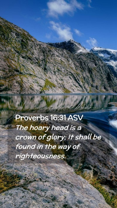 Picture 02 - Proverbs 16:31 ASV Mobile Phone Wallpaper - The hoary head is a crown of glory; It shall be - Mobile Bible Verse Wallpaper
