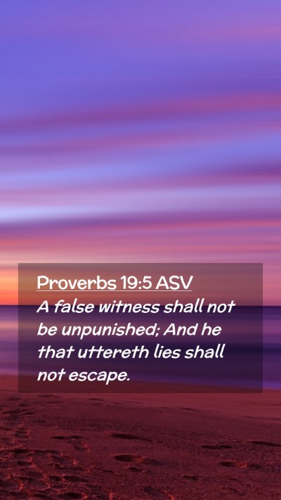 Picture 02 - Proverbs 19:5 ASV Mobile Phone Wallpaper - A false witness shall not be unpunished; And he - Mobile Bible Verse Wallpaper