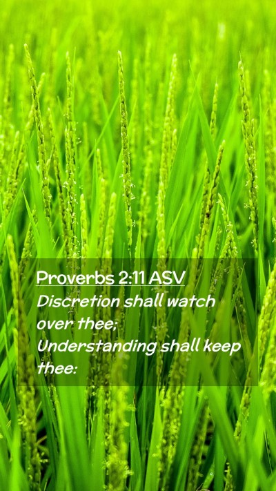 Picture 02 - Proverbs 2:11 ASV Mobile Phone Wallpaper - Discretion shall watch over thee; Understanding - Mobile Bible Verse Wallpaper