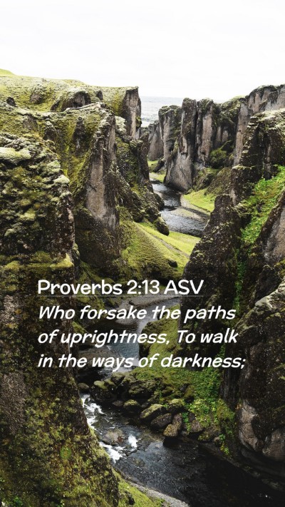Picture 02 - Proverbs 2:13 ASV Mobile Phone Wallpaper - Who forsake the paths of uprightness, To walk in - Mobile Bible Verse Wallpaper