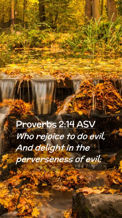 Picture 02 - Proverbs 2:14 ASV Mobile Phone Wallpaper - Who rejoice to do evil, And delight in the - Mobile Bible Verse Wallpaper