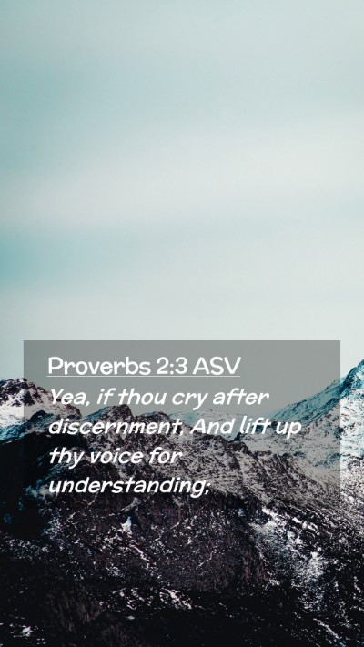 Picture 02 - Proverbs 2:3 ASV Mobile Phone Wallpaper - Yea, if thou cry after discernment, And lift up - Mobile Bible Verse Wallpaper