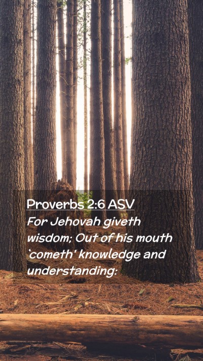 Picture 02 - Proverbs 2:6 ASV Mobile Phone Wallpaper - For Jehovah giveth wisdom; Out of his mouth - Mobile Bible Verse Wallpaper