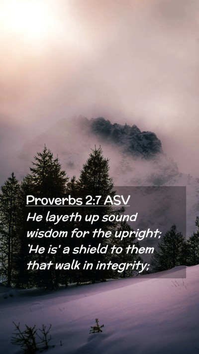 Picture 02 - Proverbs 2:7 ASV Mobile Phone Wallpaper - He layeth up sound wisdom for the upright; `He - Mobile Bible Verse Wallpaper