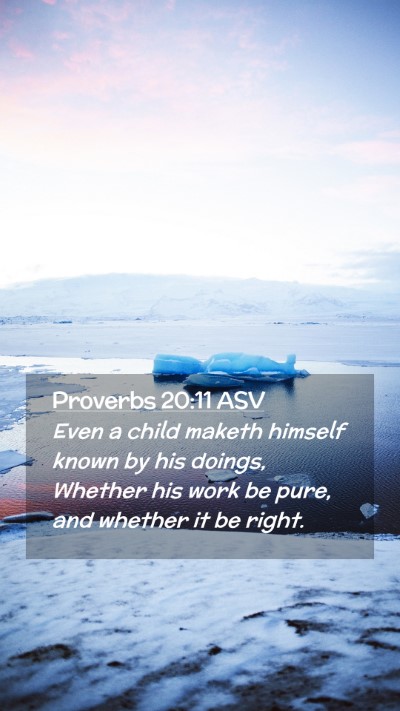Picture 02 - Proverbs 20:11 ASV Mobile Phone Wallpaper - Even a child maketh himself known by his doings, - Mobile Bible Verse Wallpaper