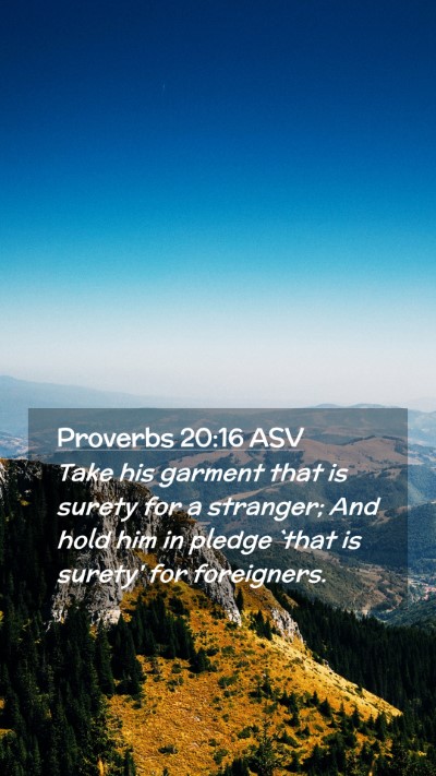 Picture 02 - Proverbs 20:16 ASV Mobile Phone Wallpaper - Take his garment that is surety for a stranger; - Mobile Bible Verse Wallpaper