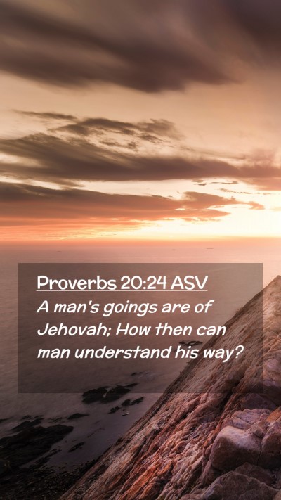 Picture 02 - Proverbs 20:24 ASV Mobile Phone Wallpaper - A man's goings are of Jehovah; How then can man - Mobile Bible Verse Wallpaper