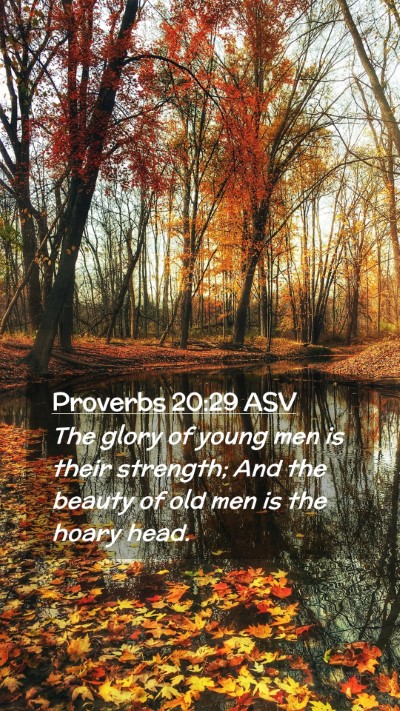 Picture 02 - Proverbs 20:29 ASV Mobile Phone Wallpaper - The glory of young men is their strength; And the - Mobile Bible Verse Wallpaper
