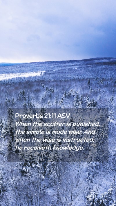 Picture 02 - Proverbs 21:11 ASV Mobile Phone Wallpaper - When the scoffer is punished, the simple is made - Mobile Bible Verse Wallpaper