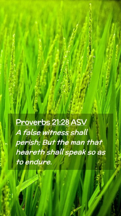 Picture 02 - Proverbs 21:28 ASV Mobile Phone Wallpaper - A false witness shall perish; But the man that - Mobile Bible Verse Wallpaper
