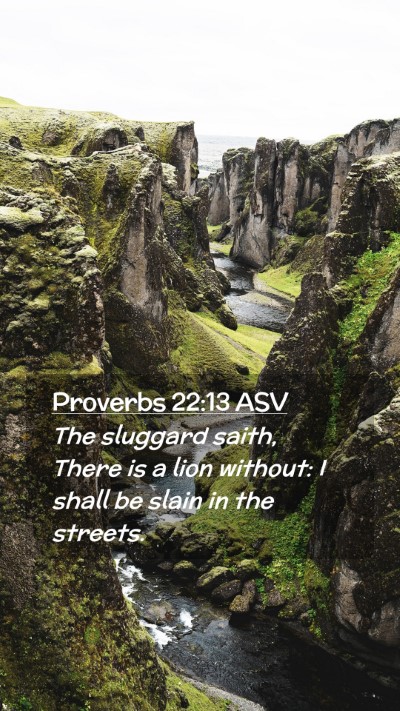 Picture 02 - Proverbs 22:13 ASV Mobile Phone Wallpaper - The sluggard saith, There is a lion without: I - Mobile Bible Verse Wallpaper