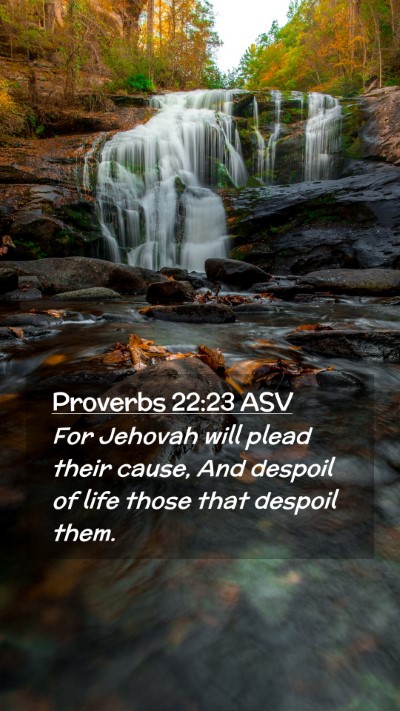 Picture 02 - Proverbs 22:23 ASV Mobile Phone Wallpaper - For Jehovah will plead their cause, And despoil - Mobile Bible Verse Wallpaper