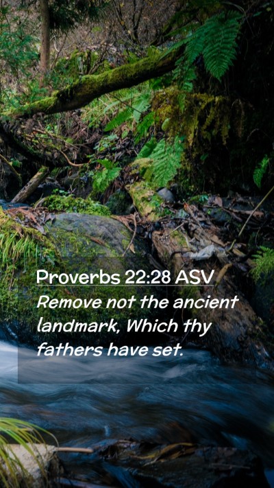 Picture 02 - Proverbs 22:28 ASV Mobile Phone Wallpaper - Remove not the ancient landmark, Which thy - Mobile Bible Verse Wallpaper