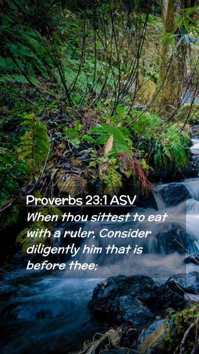 Picture 02 - Proverbs 23:1 ASV Mobile Phone Wallpaper - When thou sittest to eat with a ruler, Consider - Mobile Bible Verse Wallpaper