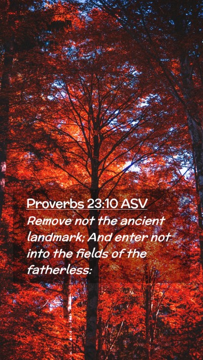 Picture 02 - Proverbs 23:10 ASV Mobile Phone Wallpaper - Remove not the ancient landmark; And enter not - Mobile Bible Verse Wallpaper