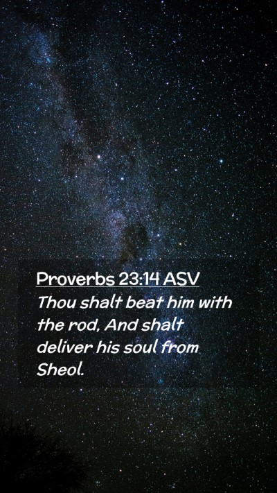 Picture 02 - Proverbs 23:14 ASV Mobile Phone Wallpaper - Thou shalt beat him with the rod, And shalt - Mobile Bible Verse Wallpaper