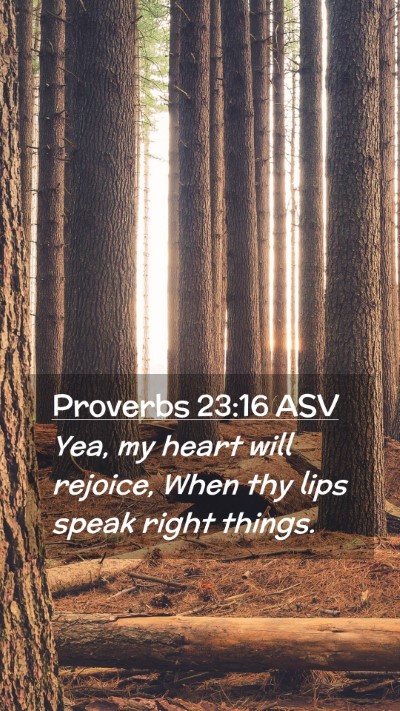 Picture 02 - Proverbs 23:16 ASV Mobile Phone Wallpaper - Yea, my heart will rejoice, When thy lips speak - Mobile Bible Verse Wallpaper