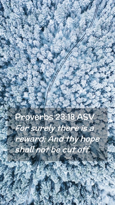 Picture 02 - Proverbs 23:18 ASV Mobile Phone Wallpaper - For surely there is a reward; And thy hope shall - Mobile Bible Verse Wallpaper